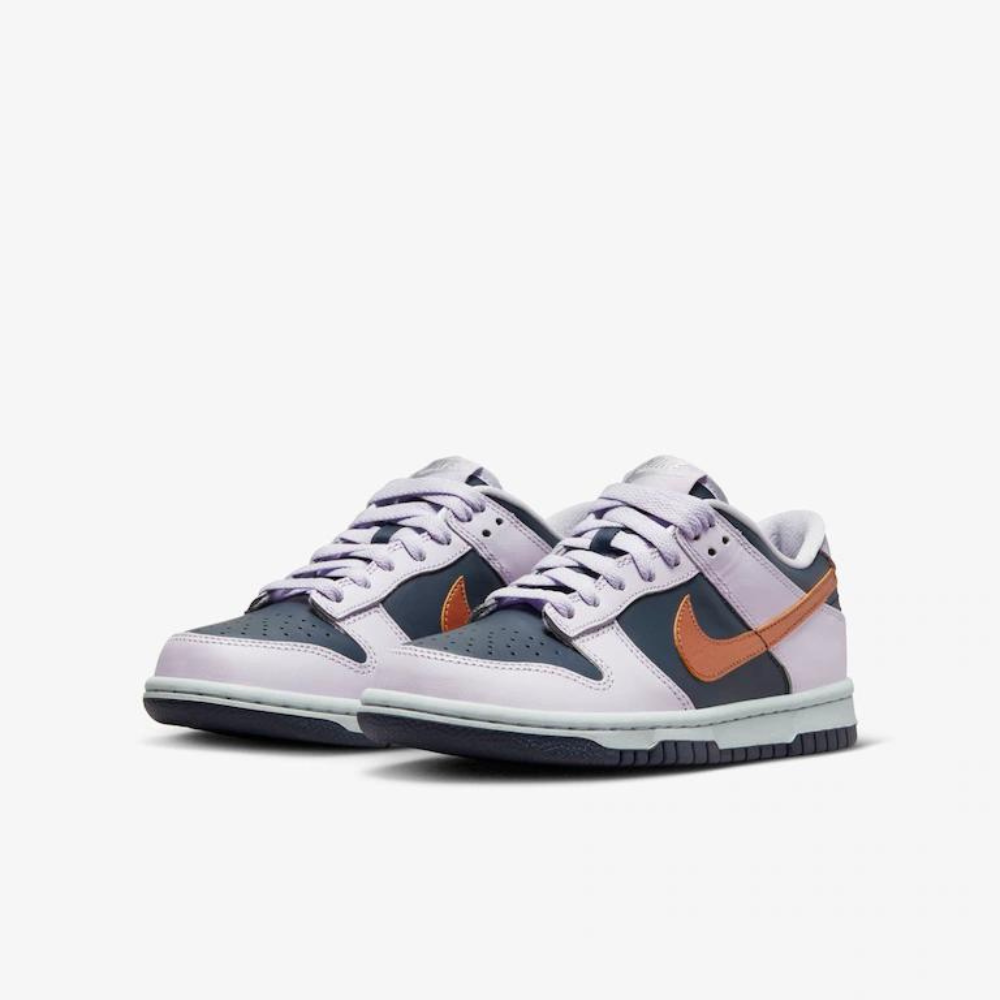 Nike store sb gs