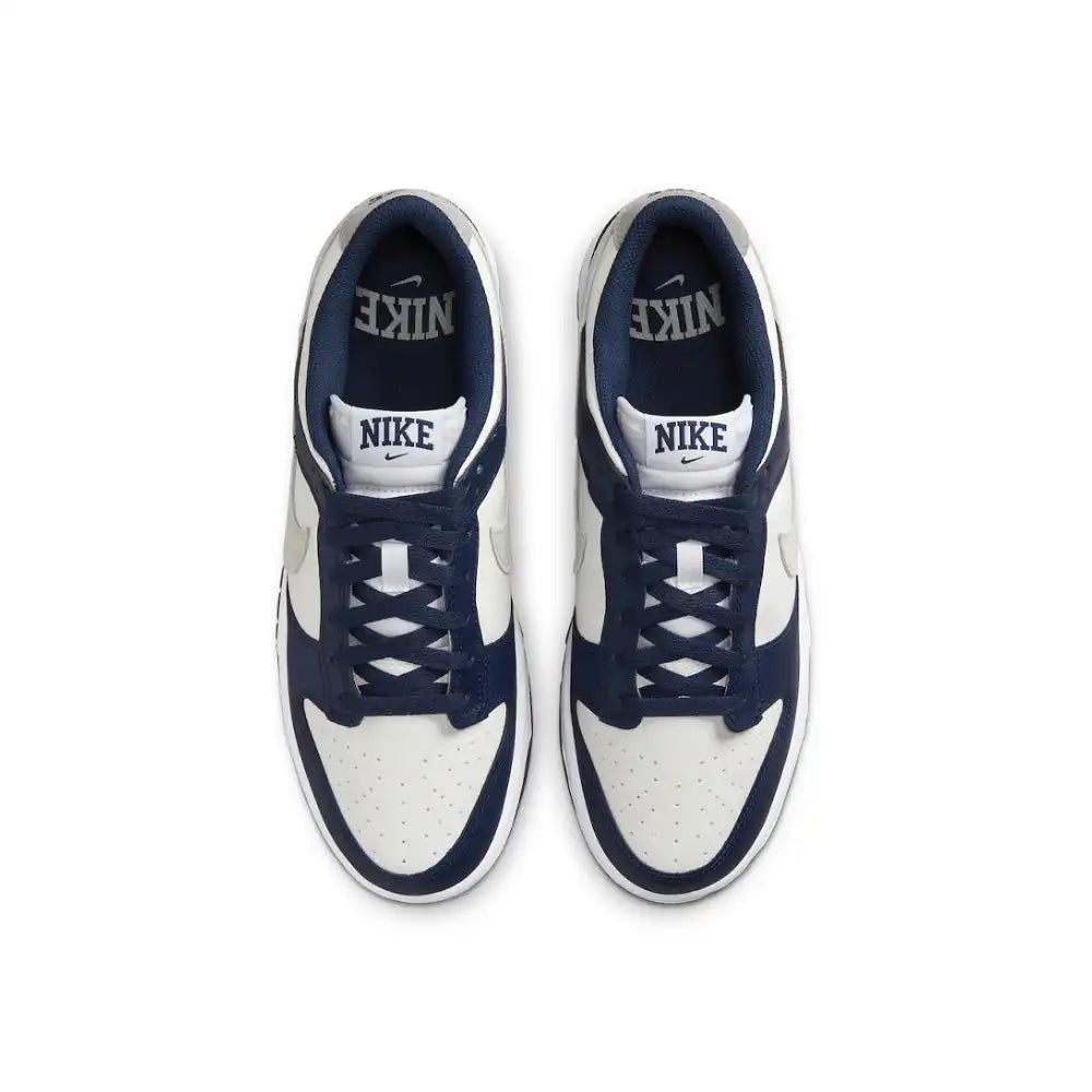 Navy blue best sale nike skate shoes